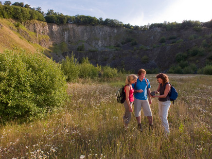 In the former quarry